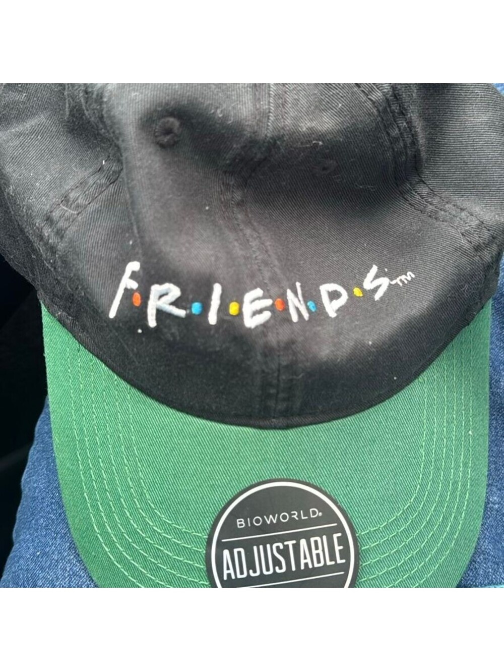 Bioworld Friends TV Show Logo Adjustable Baseball Cap Black/Green OSFA